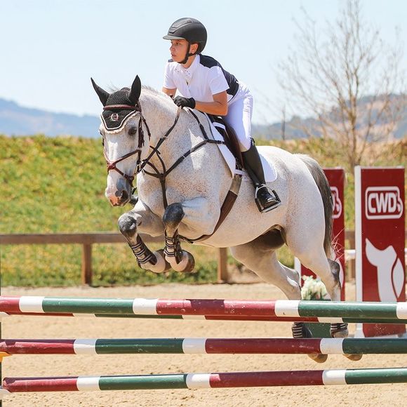 stephieleigh135